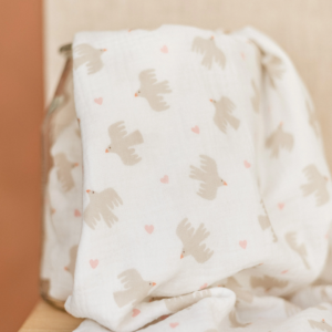 Couverture Oiseaux et cœurs